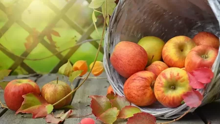 Elmanın Sağlığa Faydaları ve Lezzetli Tarifler